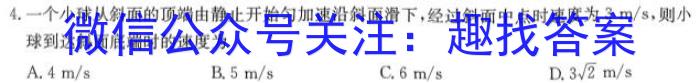 2023年陕西省初中学业水平考试•全真模拟（三）A版.物理