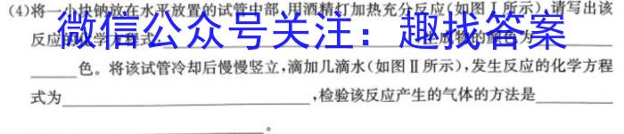 安徽第一卷·2022-2023学年安徽省七年级下学期阶段性质量监测(五)化学