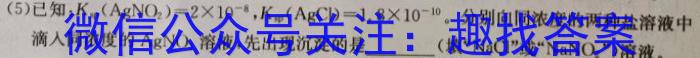 中考必刷卷·安徽省2023年安徽中考第一轮复习卷(六)6化学