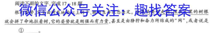 安徽省淮南市2023届九年级3月考试语文