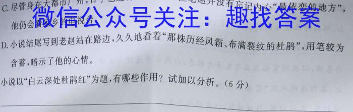 贵州省2023年普通高等学校招生适应性测试(4月)语文