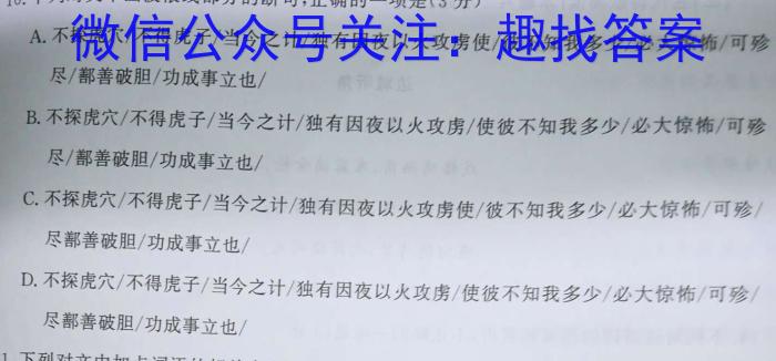 金考卷2023年普通高等学校招生全国统一考试 新高考卷 押题卷(二)语文