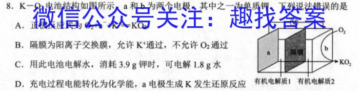 金考卷2023年普通高等学校招生全国统一考试 新高考卷 押题卷(六)化学