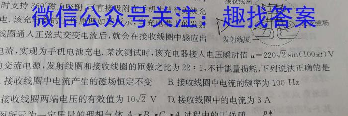 佩佩教育·2023年普通高校统一招生考试 湖南四大名校名师团队模拟冲刺卷(2)l物理