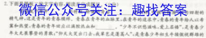 非凡吉创 2022-2023学年高三年级TOP二十名校调研模拟卷三语文