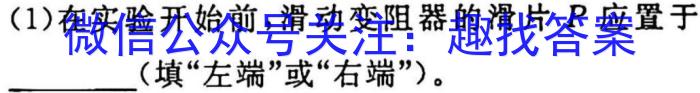 江西省2023年学科核心素养·总复习(八)物理`