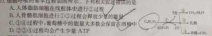 2023届九师联盟高三年级3月质量检测（LG）生物