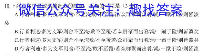 安徽省芜湖市无为市2022-2023学年九年级中考模拟检测（一）语文