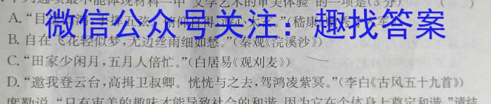 2023年陕西省初中学业水平考试·全真模拟卷（二）B版语文
