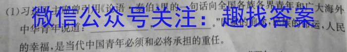 2023年山西初中学业水平考试·诊断卷（二）语文