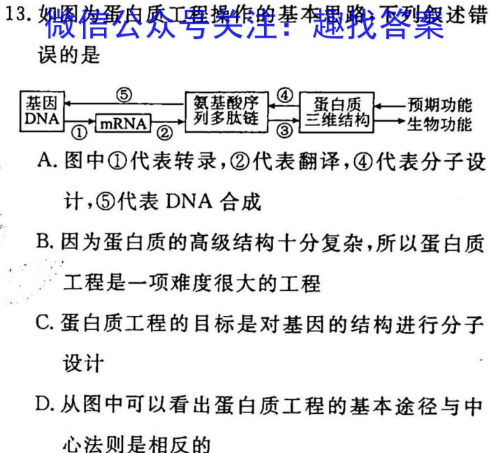 2023年普通高等学校招生全国统一考试·冲刺押题卷(新高考)(六)生物