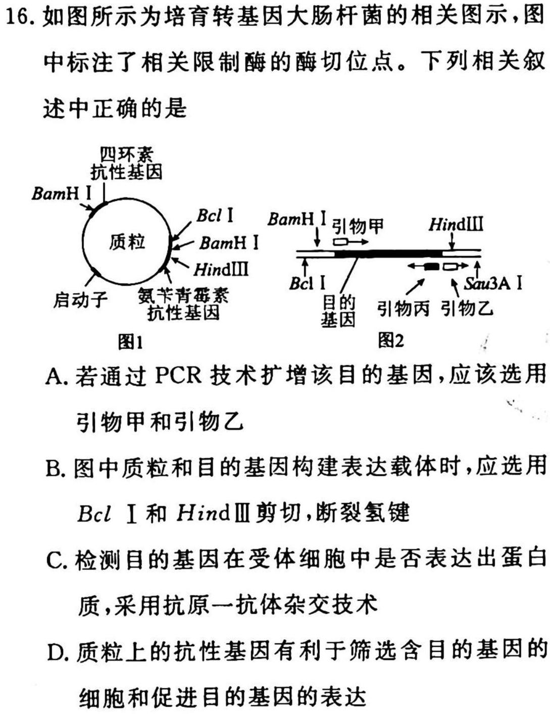 2023年普通高等学校招生全国统一考试冲刺预测·金卷(六)生物
