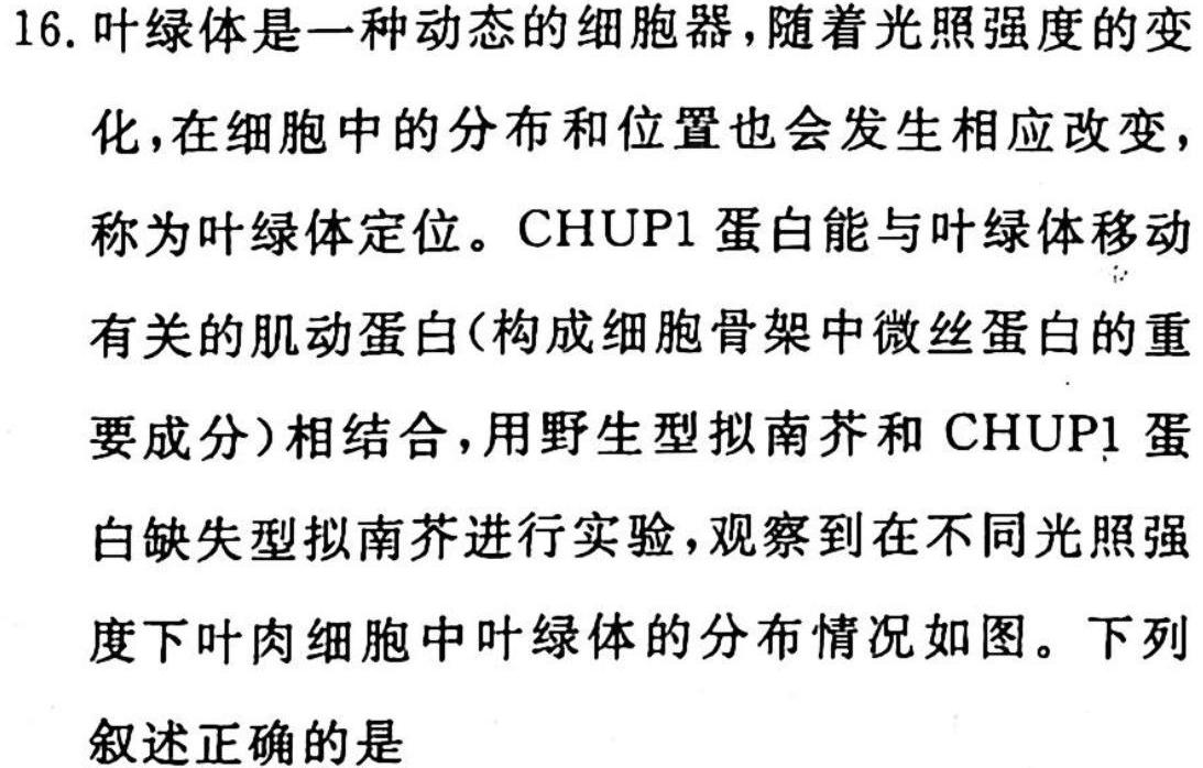 ［吉安一模］江西省吉安市2023届高三年级第一次模拟考试生物试题及答案