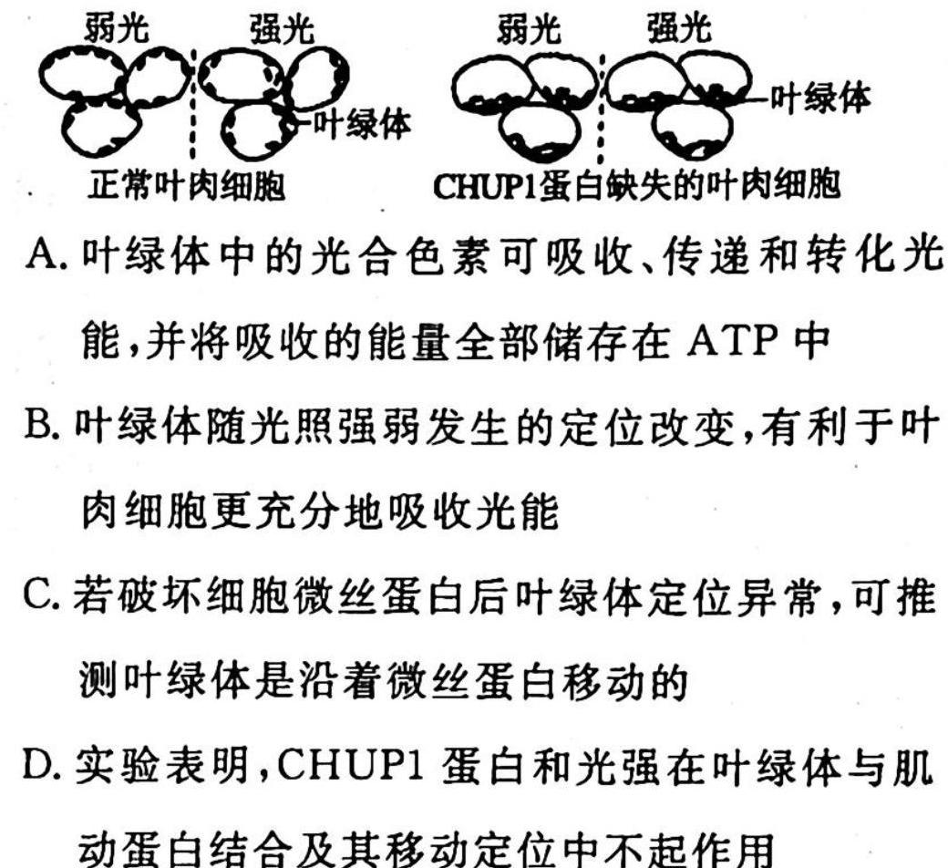 ［吉安一模］江西省吉安市2023届高三年级第一次模拟考试生物