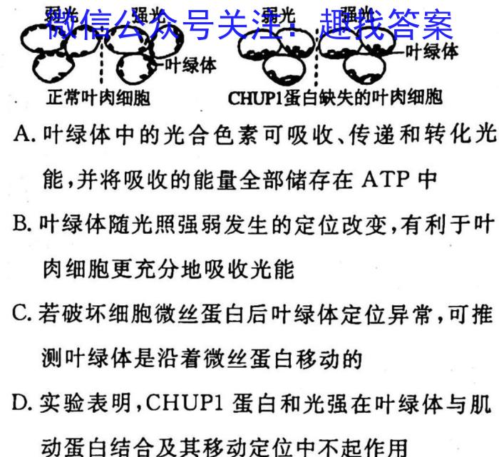 2023届辽宁大联考高三年级3月联考生物