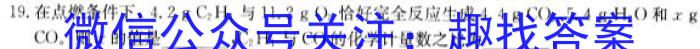 炎德英才大联考湖南师大附中2023届模拟试卷(一)化学