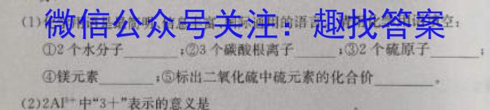 河南省2022-2023学年中原名校中考联盟测评（一）化学