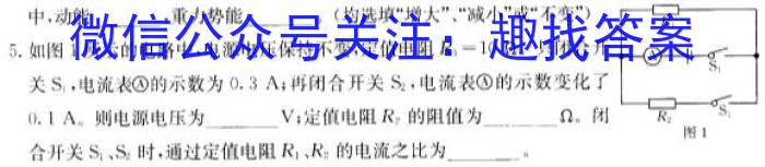 安徽省2023年中考密卷·先享模拟卷（二）l物理