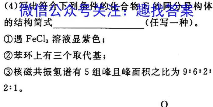 2023年陕西省初中学业水平考试·全真模拟（六）化学