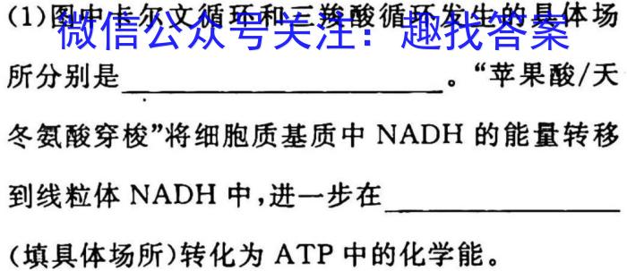 2023年山东新高考联合质量测评高三年级3月联考生物