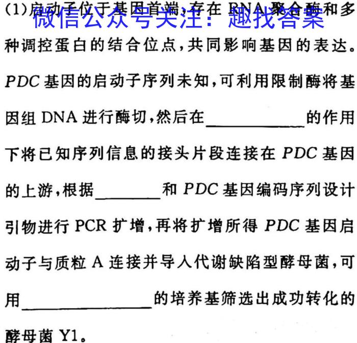 青桐鸣高考冲刺2023年普通高等学校招生全国统一考试冲刺卷(四)生物