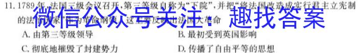 2023届湖南大联考高三年级3月联考历史