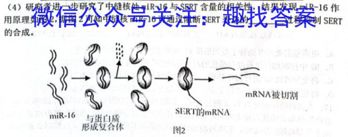 群力考卷·模拟卷·2023届高三第九次生物