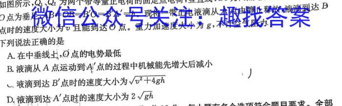 湘考王·2023年湖南省高三联考（3月）物理`