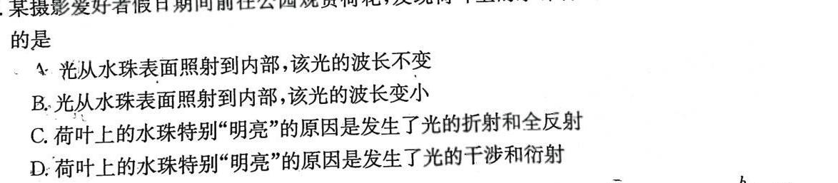 2023年河北省九年级基础摸底考试（一）-物理