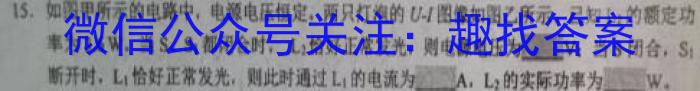 安徽省2023年全椒县九年级一模考试q物理
