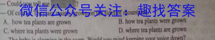 安徽省2023届第二学期九年级作业辅导练习英语