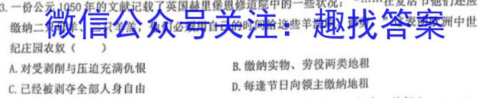 炎德英才大联考长沙市一中2023届高三月考试卷(七)历史