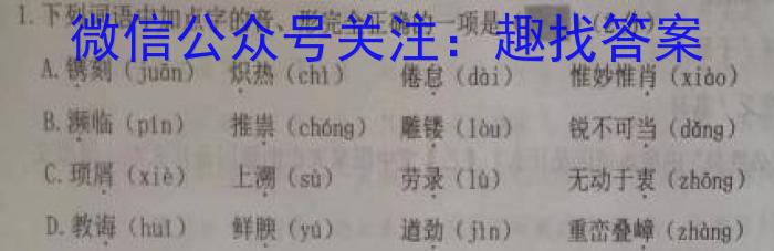 河北省2023届金科大联考高三年级3月联考语文