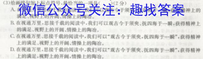 寿春中学2023届毕业班第一次模拟考试语文