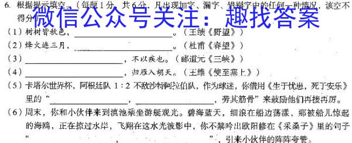 JY锦育2023年安徽省九年级学业水平模拟监测语文