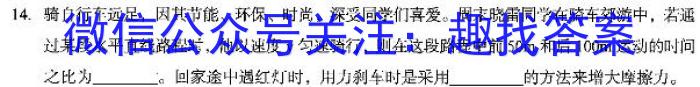 安师联盟2023年中考权威预测模拟考试（四）物理`