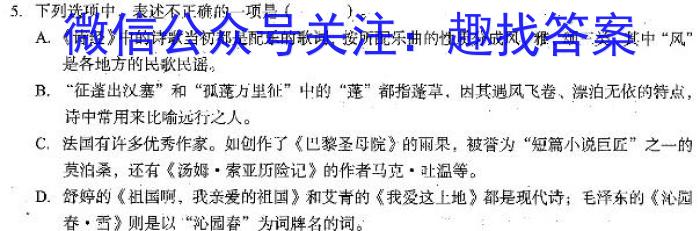 湖南省108所学校联考2024-2023学年高一下学期期中考试语文