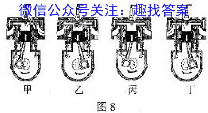 安徽省2023年名校之约·中考导向总复习模拟样卷（八）f物理