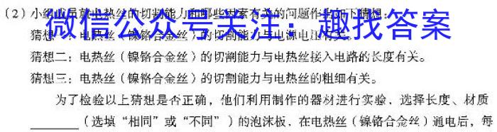 安徽省2023届九年级学情诊断考试l物理