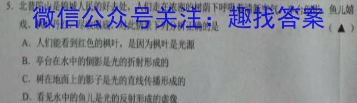 [湛江一模]广东省湛江市2023年普通高考测试(一)1物理`