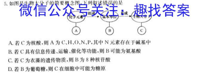 2023湖北圆创名校联盟高三第四次联考生物