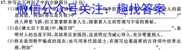 2023年湖南省高三年级高考冲刺试卷（二）语文