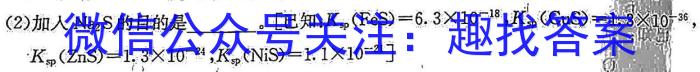 2023届名校之约·中考导向总复习模拟样卷 二轮(六)化学