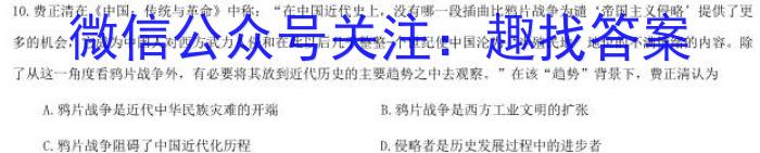 [南宁一模]南宁市2023届高中毕业班第一次适应性测试历史