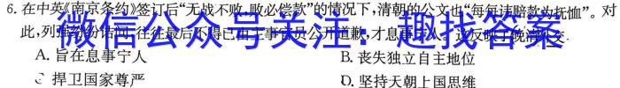 2023衡水金卷先享题信息卷 新高考新教材(五)历史