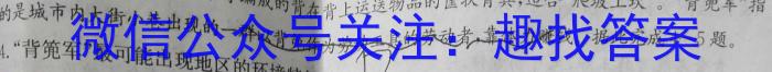 [阳光启学]2023届全国统一考试标准模拟信息卷(十二)12地理.