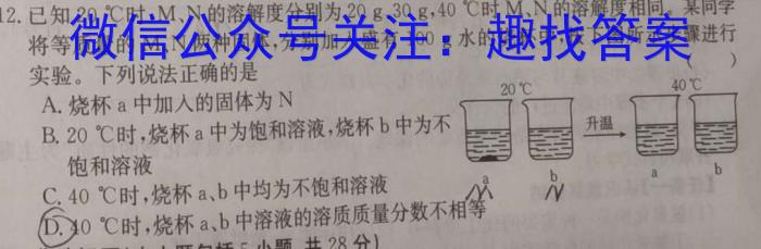 2023年咸阳市渭城区中考模拟检测(一)化学