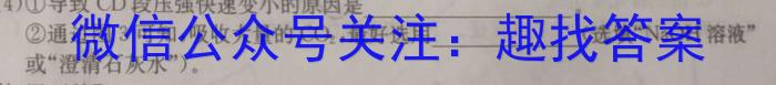 安徽省2023年九年级监测试卷（4月）化学