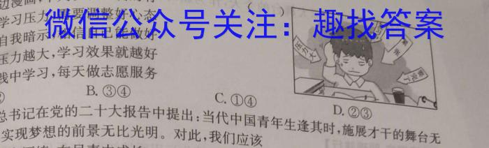 银川二中2022-2023学年第二学期高三年级模拟一l地理