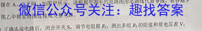 2023河南五地市高三一模（南阳、信阳、驻马店、漯河、周口）.物理